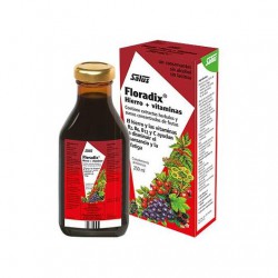 Floradix jarabe 250 ml - Hierro - Salus
